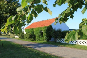 Altes Deichbauernhaus mit Scheune, Garten und zwei Etagen